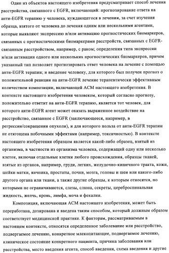 Антигенсвязывающие молекулы, которые связывают рецептор эпидермального фактора роста (egfr), кодирующие их векторы и их применение (патент 2457219)