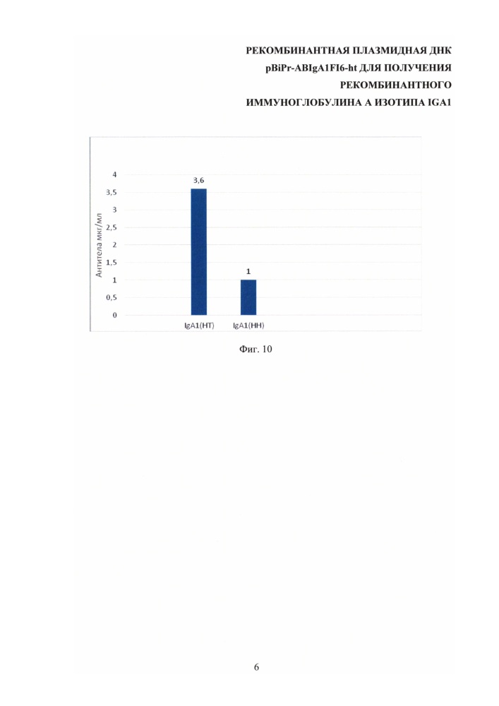 Рекомбинантная плазмидная днк pbipr-abiga1fi6-ht для получения рекомбинантного иммуноглобулина а изотипа iga1 (патент 2656142)