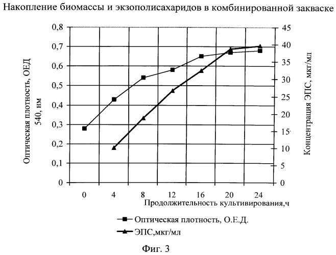 Способ получения бактериального концентрата консорциума пробиотических микроорганизмов (патент 2544052)