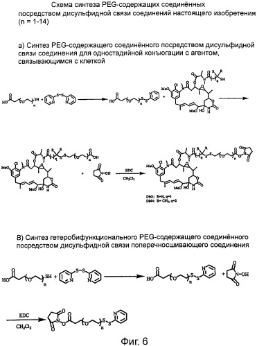 Высокоэффективные конъюгаты и гидрофильные сшивающие агенты (линкеры) (патент 2487877)
