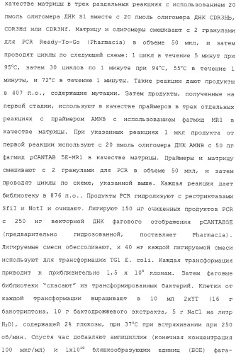 Scfv против egfrviii с улучшенной цитотоксичностью и выходом, иммунотоксины на их основе и способы их применения (патент 2317999)