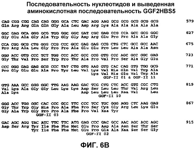 Композиции и способы для лечения во время не острых периодов после неврологического повреждения цнс (патент 2501564)
