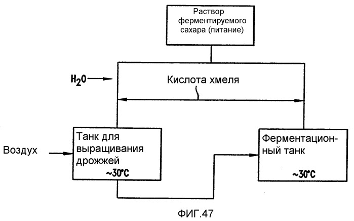Композиция для ингибирования молочнокислых бактерий, загрязняющих технологическую среду при производстве топливного этанола (варианты), способ контроля загрязнения молочнокислыми бактериями указанной среды и способ контроля их роста в ферментационном процессе (патент 2397200)