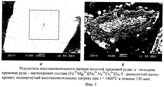 Способ селективного извлечения металлов из комплексных руд (патент 2460813)