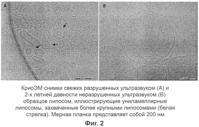 Новая лекарственная форма для лечения грибковой инфекции (патент 2481100)