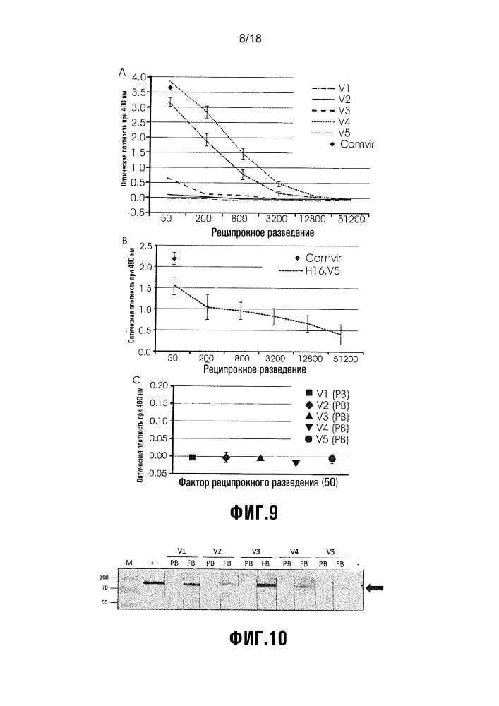 Химерная частица hpv (патент 2642287)