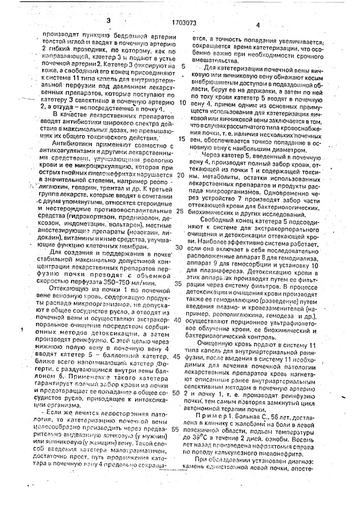 Способ лечения апостематозного нефрита (патент 1703073)