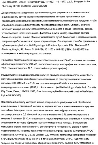 Способ получения полиненасыщенных кислот жирного ряда в трансгенных организмах (патент 2447147)