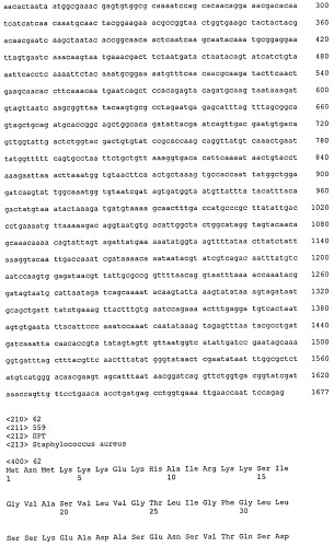 Иммуногенные композиции антигенов staphylococcus aureus (патент 2536981)