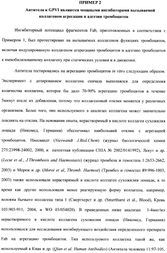 Антитела к гликопротеину vi и способы продуцирования и использования этих антител (патент 2407752)