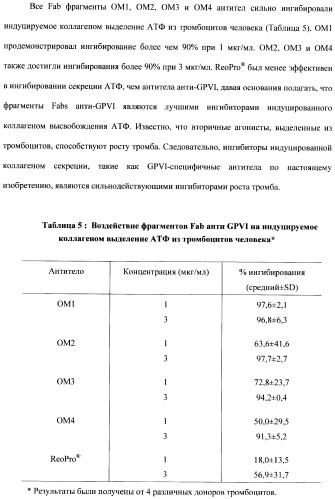 Антитела к гликопротеину vi и способы продуцирования и использования этих антител (патент 2407752)