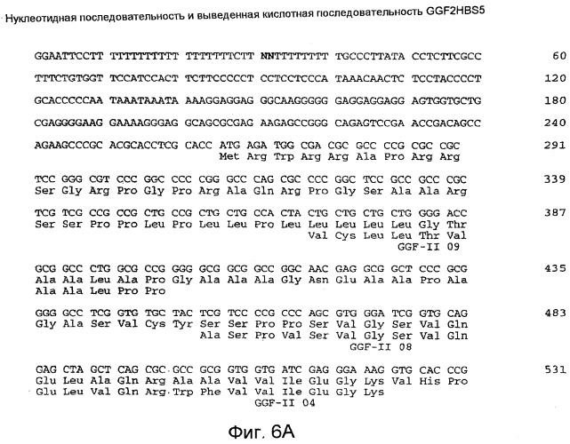 Способы выявления сердечных нарушений (патент 2498309)