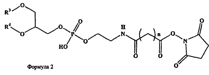 Новые композиции липосом (патент 2454229)