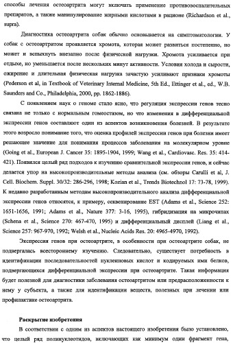 Гены, связанные с остеоартритом собак, и относящиеся к этому способы и композиции (патент 2341795)