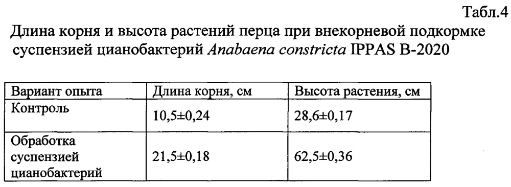 Способ стимуляции роста и развития растений, повышения урожайности и защиты от фитопатогенных грибов в аридной зоне (патент 2634387)