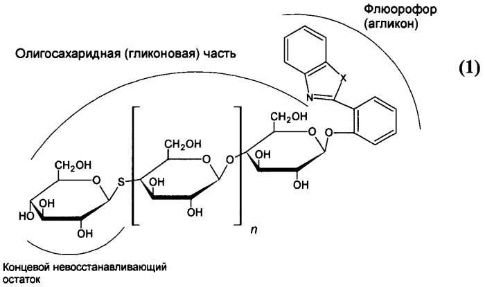Субстраты из класса олигосахаридов для детектирования эндо-гликозидгидролаз в присутствии экзо-действующих ферментов (патент 2378282)
