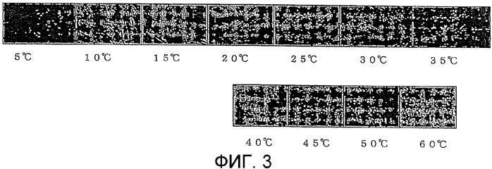 Кристалл тригидрата ди-(l)-лизинмоносульфата и способ его получения (патент 2376281)