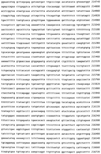 Применение s1p (патент 2362565)