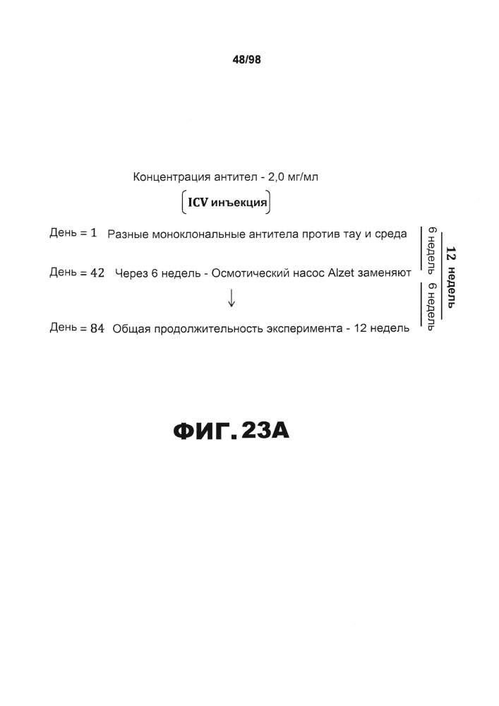 Антитела против тау (патент 2668159)