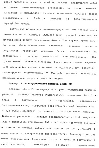 Клетка-хозяин trichoderma reesei для получения целлюлолитической белковой композиции, целлюлолитическая белковая композиция, способы ее получения и применения (патент 2494146)