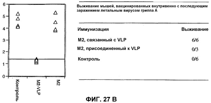 Композиция и способ для иммунизации, способ продуцирования неприродного, упорядоченного и повторяющегося массива антигенов (патент 2294211)