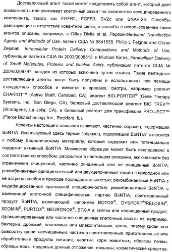 Иммунологические анализы активности ботулинического токсина серотипа а (патент 2491293)