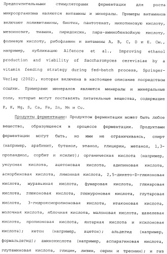 Клетка-хозяин trichoderma reesei для получения целлюлолитической белковой композиции, целлюлолитическая белковая композиция, способы ее получения и применения (патент 2494146)