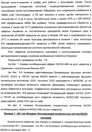 Nogo-a-нейтрализующие иммуноглобулины для лечения неврологических заболеваний (патент 2362780)