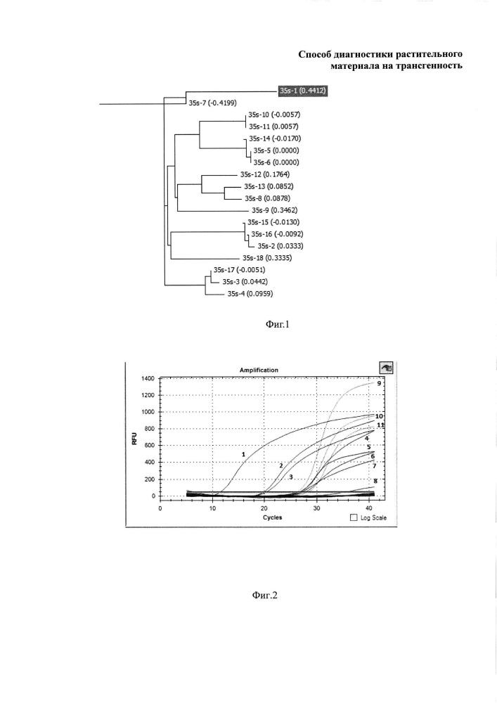 Способ диагностики растительного материала на трансгенность (патент 2607372)