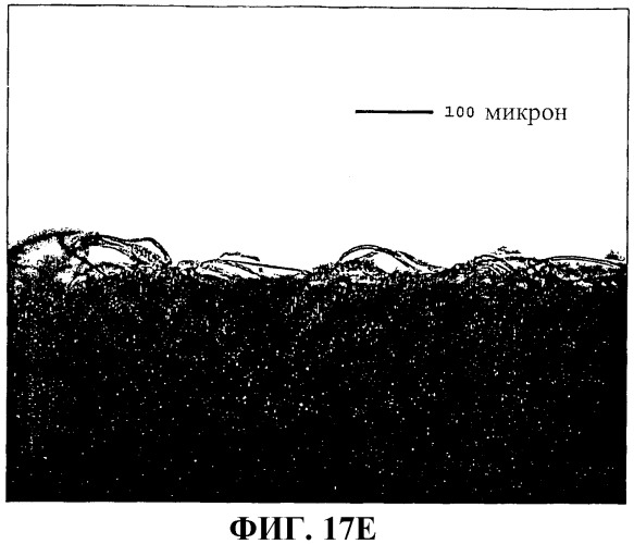 Застежки на основе пеноматериала (патент 2376915)