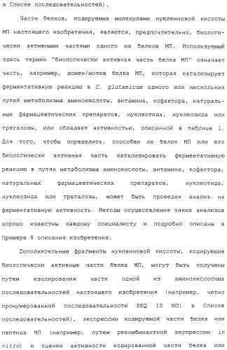 Гены corynebacterium glutamicum, кодирующие белки метаболических путей (патент 2306339)