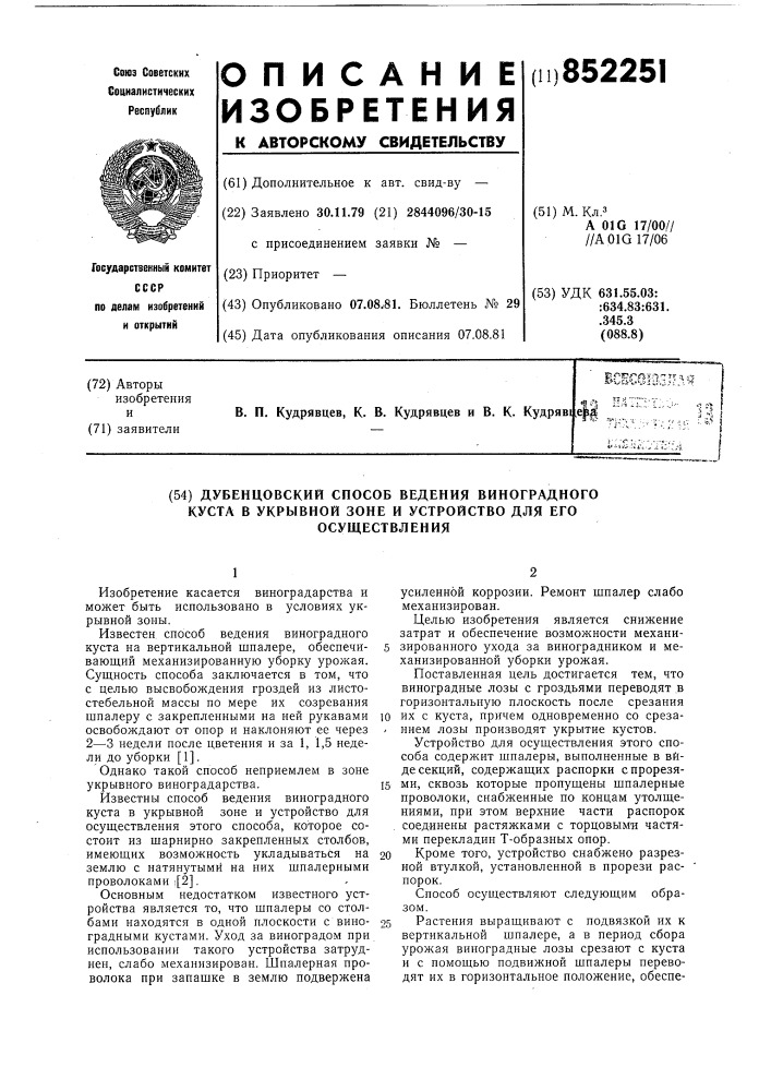 Дубенцовский способ ведения виноградногокуста b укрывной зоне и устройстводля его осуществления (патент 852251)