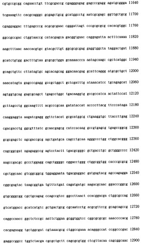 Конструирование рекомбинанта онколитического аденовируса, специфически экспрессирующего иммуномодуляторный фактор gm-csf в опухолевых клетках, и его применение (патент 2361611)