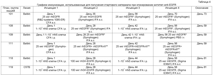 Способ клонирования когнатных антител (патент 2459868)