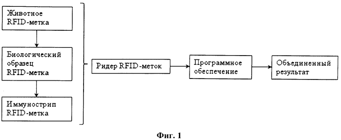 Способ сбора информации для экспресс-диагностики инфекционных заболеваний биологических объектов - животных и птиц с использованием rfid-меток и система для его осуществления (патент 2581913)