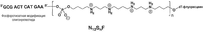 Катионные олигонуклеотиды, автоматизированные способы их получения и их применение (патент 2451022)