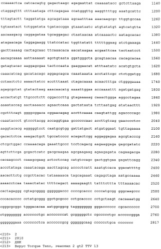 Выделенная полинуклеотидная молекула, кодирующая вирус torque teno, молекула рнк и вектор экспрессии (патент 2502801)