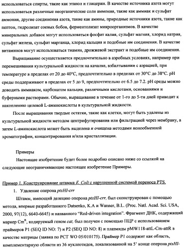 Способ получения l-треонина с использованием бактерии, принадлежащей к роду escherichia (патент 2338783)