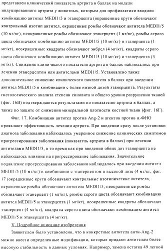 Стабилизированные антитела против ангиопоэтина-2 и их применение (патент 2509085)