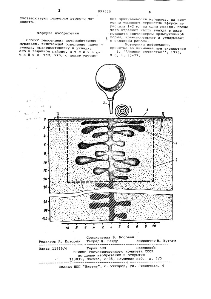 Способ расселения почвообитающих муравьев (патент 899030)