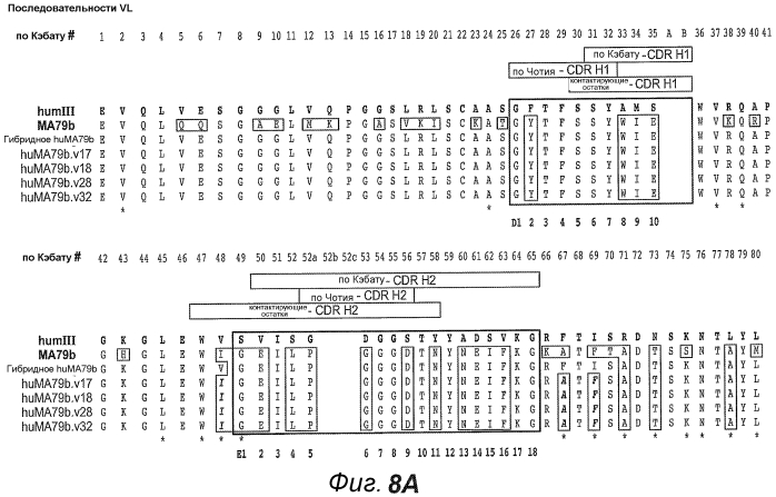 Анти-cd79b антитела и иммуноконъюгаты и способы их применения (патент 2553566)