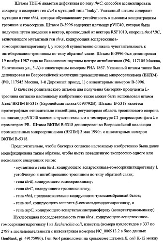 Способ получения l-треонина с использованием бактерии, принадлежащей к роду escherichia, в которой инактивирован кластер генов yrah-r (патент 2337962)