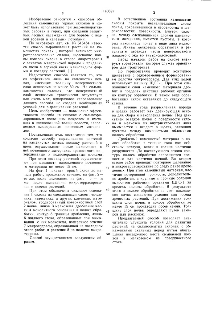 Способ выращивания растений на каменистых почвах (патент 1140697)