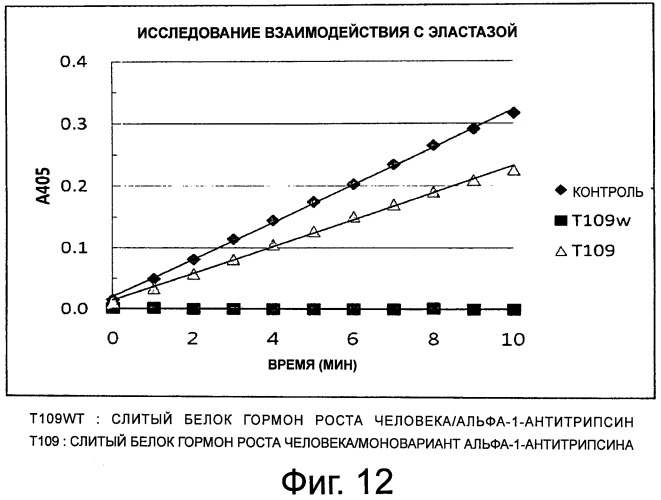 Слитый белок или пептид с увеличенным временем полужизни in vivo, поддерживаемый за счет замедленного высвобождения in vivo, и способ увеличения времени полужизни in vivo с его применением (патент 2503688)