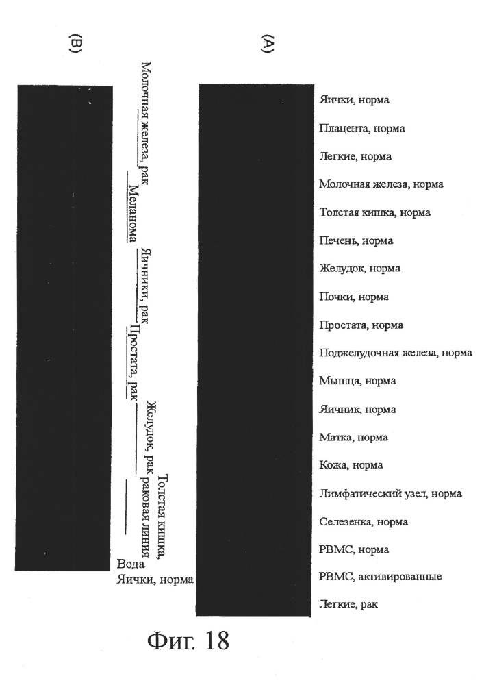 Идентификация опухолеассоциированных антигенов для диагностики и терапии (патент 2644686)