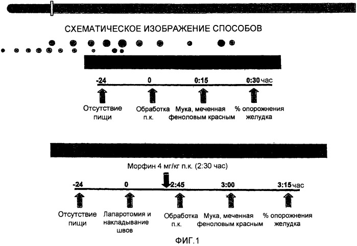 Композиции и способы стимуляции двигательной функции желудочно-кишечного тракта (патент 2420305)