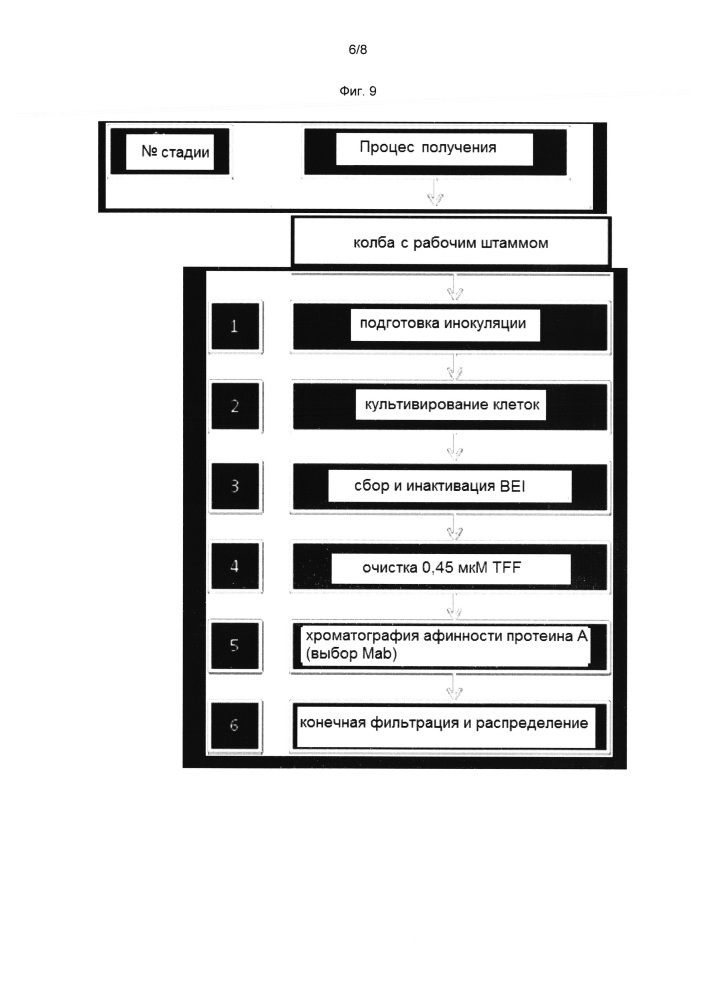 Комбинированная вакцина pcv/mycoplasma hyopneumoniae/prrs (pcv/mycoplasma hyopneumoniae/prrs combination vaccine) (патент 2644256)