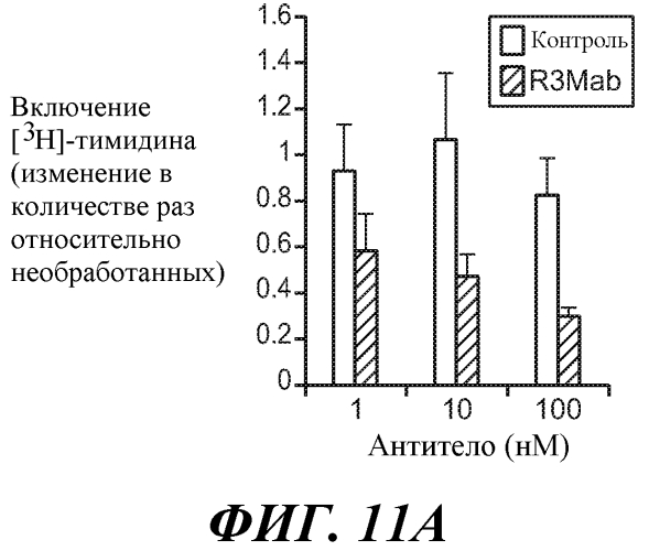 Антитела против fgfr3 и способы их применения (патент 2568066)