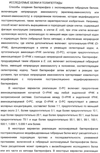 Селективная посттрансляционная модификация экспонируемых фагами полипептидов (патент 2459866)