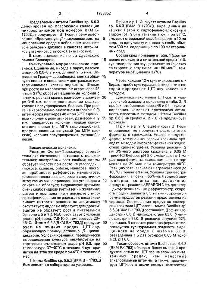 Штамм бактерий bacillus sp.-продуцент @ - циклодекстринтрансферазы (патент 1738852)